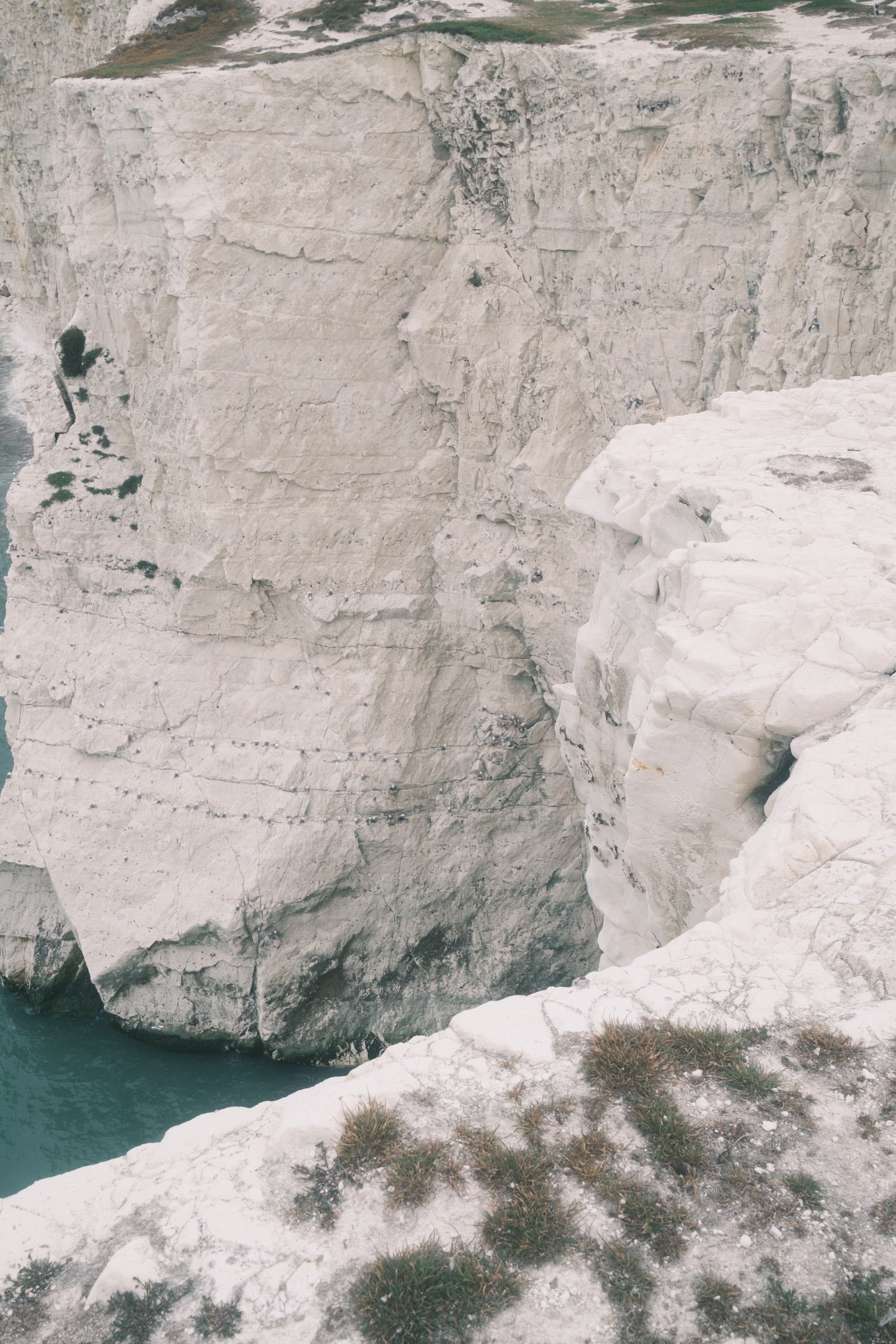 Chalk cliff face at Seven Sisters