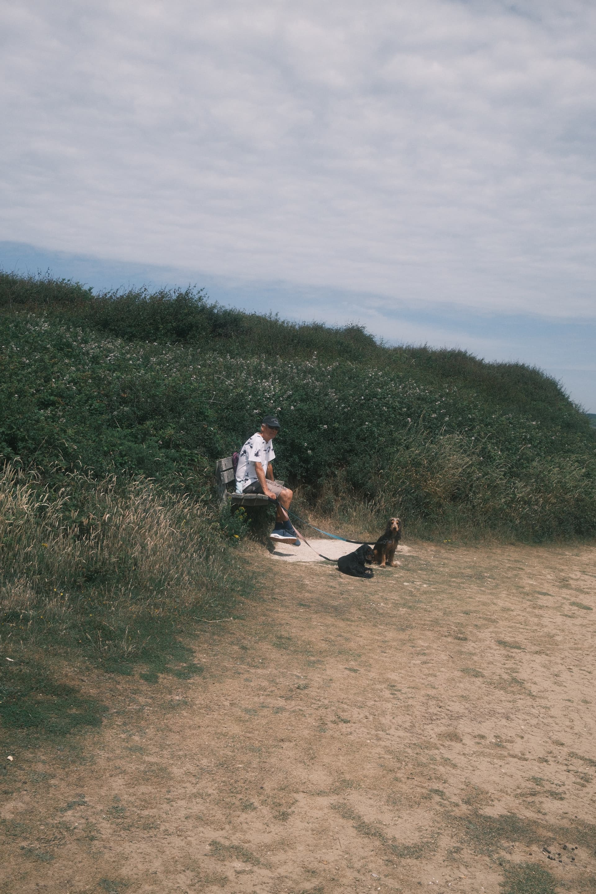 Man resting on a bench with his dogs at Seven Sisters